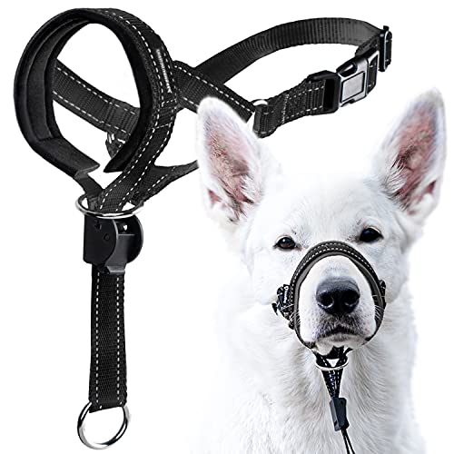 GoodBoy Hundehalfter mit Sicherheitsgurt – stoppt schweres Ziehen an der Leine – gepolstertes Halfter für kleine, mittelgroße und große Hundegrößen – Halfter-Trainingsanleitung im Lieferumfang GoodBoy Hundehalfter mit Sicherheitsgurt – stoppt schweres Ziehen an der Leine – gepolstertes Halfter für kleine, mittelgroße und große Hundegrößen – Halfter-Trainingsanleitung im Lieferumfang von GoodBoy