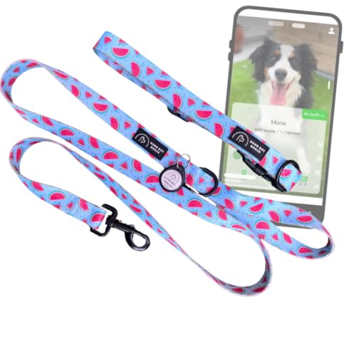 Good Boy Roger Ortungshalsband für Hunde und Katzen, für kleine bis mittelgroße und große Hunde, ohne GPS und ohne Abonnement, verstellbar und verstellbar, haben Sie Ihr Haustier jemals verloren? (S, von GoodBoyRoger
