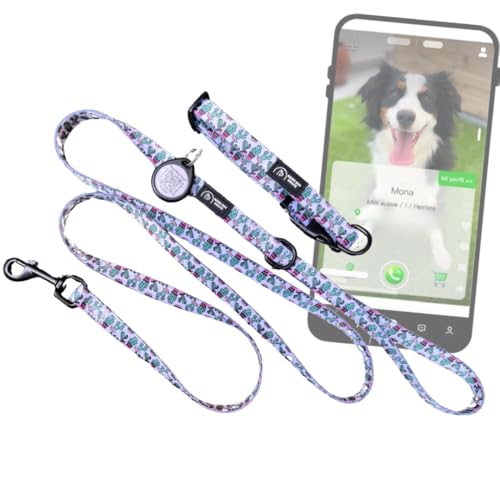 Good Boy Roger Ortungshalsband für Hunde und Katzen, für kleine bis mittelgroße und große Hunde, ohne GPS und ohne Abonnement, verstellbar und verstellbar, haben Sie Ihr Haustier jemals verloren? (M, von GoodBoyRoger