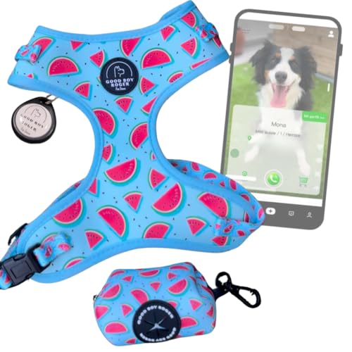GoodBoyRoger Haben Sie jemals Ihr Haustier verloren? Lokalisierbares Geschirr für Hund und Katze, für kleine, mittelgroße und große Hunde, ohne GPS und ohne Abonnement, Weste gegen Ziehen (M, von GoodBoyRoger