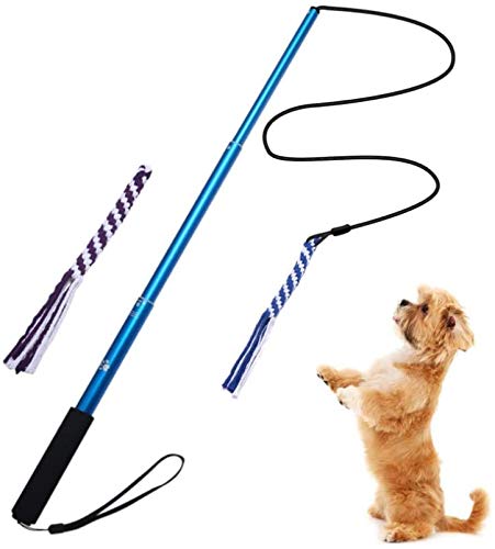 GoodsBeauty Interaktives Hundespielzeug – ausziehbare Flirt-Stange mit 2 geflochtenen Seilen für Hunde, Outdoor-Unterhaltung, Zug und Bewegung, schwarz, Größe L, Blau L von GoodsBeauty
