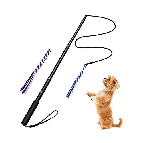 AMYESE Interaktives Hundespielzeug – Ausziehbare Flirtstange mit 2 geflochtenen Seilzügen für Hunde, Outdoor, Unterhaltung, Zug und Bewegung, Schwarz, Größe L von AMYESE