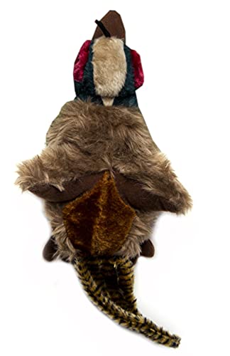Gor Wild Pheasant (45cm) von Gor Pets