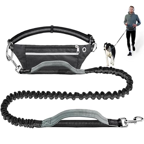 Pet Room Hundeleine, Hüftgurt für Spaziergänge, Laufen, Joggen, stoßdämpfende Bungee-Leine für mittelgroße bis große Hunde, verstellbar mit Reißverschlusstasche, Doppelgriff Pet Room Hundeleine, Hüftgurt für Spaziergänge, Laufen, Joggen, stoßdämpfende Bungee-Leine für mittelgroße bis große Hunde, verstellbar mit Reißverschlusstasche, Doppelgriff von Gorwagely