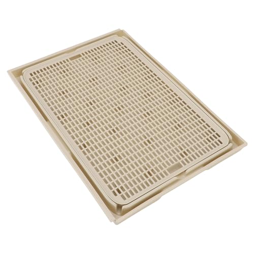Goshyda Katzensandteppich, Sand - -Teppich für Anti -Double -Background -Doppel -Bottom -Katzen (Khaki) von Goshyda