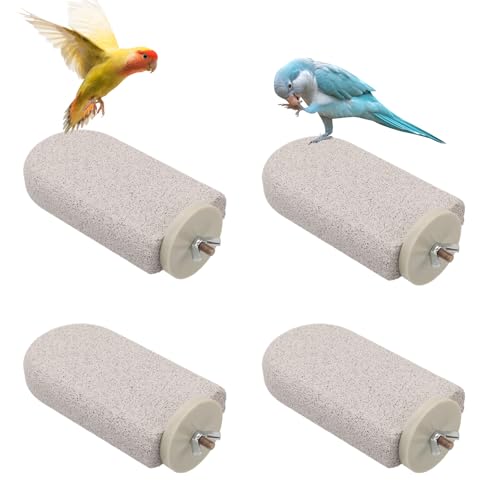 4stk Vogel Sitzstangen, Schnabel-Schleifstein Papagei Kalzium Sitzstange Fußkrallen-Trimmer Wellensittich Plattform Kau-Spielzeug für Kleine Mittlere Nymphensittiche Lovebirds (Großes EIS) von Gosknor