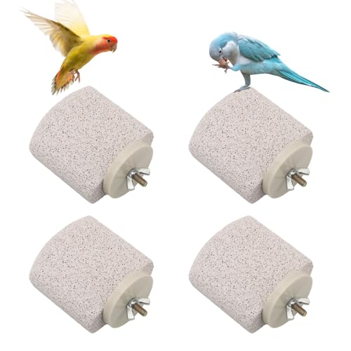 4stk Vogel Sitzstangen, Schnabel-Schleifstein Papagei Kalzium Sitzstange Fußkrallen-Trimmer Wellensittich Plattform Kau-Spielzeug für Kleine Mittlere Nymphensittiche Lovebirds (Kleines EIS) von Gosknor