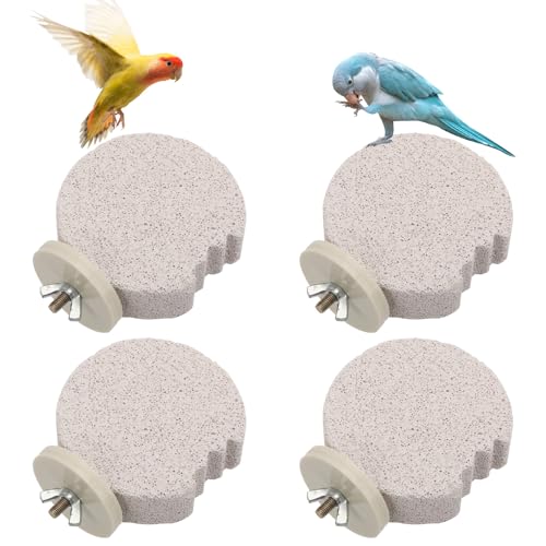4stk Vogel Sitzstangen, Schnabel-Schleifstein Papagei Kalzium Sitzstange Fußkrallen-Trimmer Wellensittich Plattform Kau-Spielzeug für Kleine Mittlere Nymphensittiche Lovebirds (Mond) von Gosknor