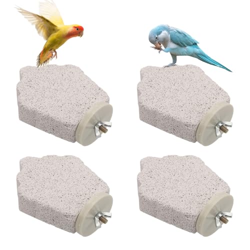 4stk Vogel Sitzstangen, Schnabel-Schleifstein Papagei Kalzium Sitzstange Fußkrallen-Trimmer Wellensittich Plattform Kau-Spielzeug für Kleine Mittlere Nymphensittiche Lovebirds (Traube) von Gosknor