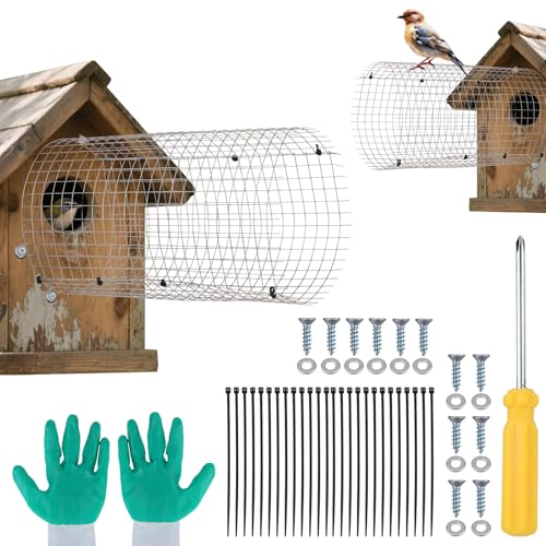 Gosknor 2 STK Blauvogelhaus Raubtierschutz, Edelstahl Vogelhaus Lochschutz Rundes Spatzenschutznetz für Sicheren Bluebird Nistkasten von Gosknor