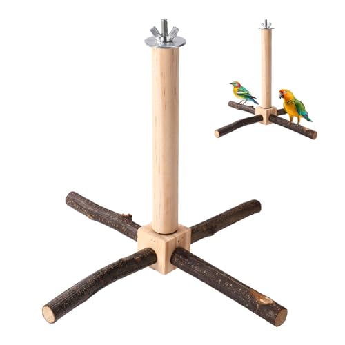 Gosknor Vogelsitzstangen für Käfige, Drehbare Papageiensitzstange aus Holz Käfigzubehör für Kleine und Mittelgroße Vögel Kanarienvögel Kakadus von Gosknor