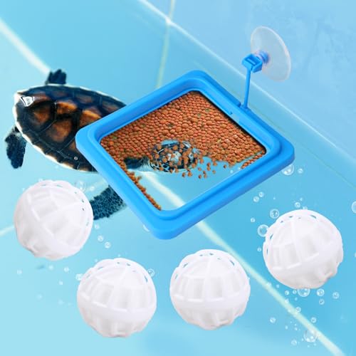 Quadratischer Futterring für Schildkröten mit Saugnapf, Inklusive 4stk Reinigungsbälle Schildkrötenzubehör für Den Tank Futterring für Schildkröten und Guppys von Gosknor
