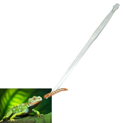 Gostur Aquarium-Pinzette mit Aufhänger, extra lange Futterzange, Edelstahl, große Aquascape-Werkzeuge für Aquarien, Terrarien, Aquascaping, Reptilienschlange, gerade, 48 cm von Gostur