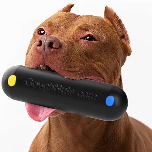 Goughnuts - Hunde-Kauspielzeug, praktisch unzerstörbar - Das Hundespielzeug für Power-Kauer hält selbst hartnäckigen Hunden Stand Goughnuts - Hunde-Kauspielzeug, praktisch unzerstörbar - Das Hundespielzeug für Power-Kauer hält selbst hartnäckigen Hunden Stand von Goughnuts