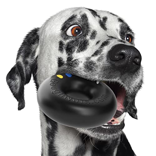 Goughnuts - Hunde-Kauspielzeug, praktisch unzerstörbar - Das Hundespielzeug für Power-Kauer hält selbst hartnäckigen Hunden Stand Goughnuts - Hunde-Kauspielzeug, praktisch unzerstörbar - Das Hundespielzeug für Power-Kauer hält selbst hartnäckigen Hunden Stand von Goughnuts