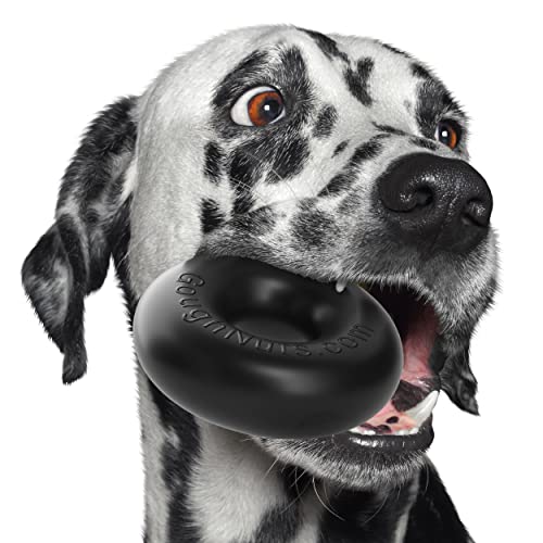 Goughnuts - Hunde-Kauspielzeug, praktisch unzerstörbar - Das Hundespielzeug für Power-Kauer hält selbst hartnäckigen Hunden Stand Goughnuts - Hunde-Kauspielzeug, praktisch unzerstörbar - Das Hundespielzeug für Power-Kauer hält selbst hartnäckigen Hunden Stand von Goughnuts