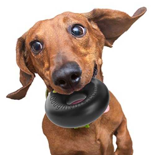 Goughnuts - Hunde-Kauspielzeug, praktisch unzerstörbar - Das Hundespielzeug für Power-Kauer hält selbst hartnäckigen Hunden Stand - Robuster Kautschukring für kleine Rassen 4-18 kg - Schwarz 9,5 cm von Goughnuts