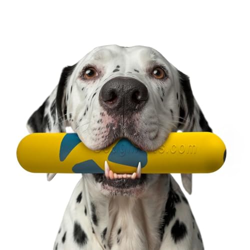 Goughnuts Mittlerer Wasserstab, schwimmendes Hundespielzeug zum Wasserholen, interaktives, robustes Hundespielzeug für aggressive Kauer, natürlicher verstärkter Gummi-Schwimmer, hergestellt in den Goughnuts Mittlerer Wasserstab, schwimmendes Hundespielzeug zum Wasserholen, interaktives, robustes Hundespielzeug für aggressive Kauer, natürlicher verstärkter Gummi-Schwimmer, hergestellt in den von Goughnuts