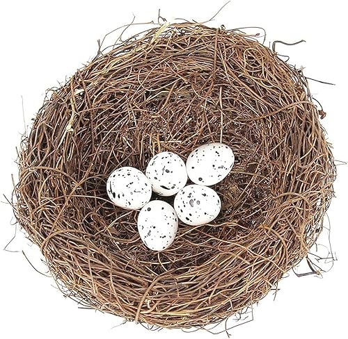 Gowxs Rattan Vogelnest Künstliche Vogel Nest mit Eier Dekorative für Weihnachten, Ostern, Partydekoration Zubehör für Vogelkäfige Gowxs Rattan Vogelnest Künstliche Vogel Nest mit Eier Dekorative für Weihnachten, Ostern, Partydekoration Zubehör für Vogelkäfige von Gowxs