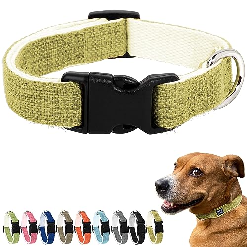 Pawsitive Hanf Hundehalsband - Hypoallergenes Hundehalsband, Tolles Hundehalsband für empfindliche Haut, Weiches Halsband für Hunde, Weiches Bio-Hundehalsband Umweltfreundlich (X-Large, Gelb) von Gracie To The Rescue