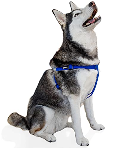 Pawsitive Hundegeschirr, Hanf, Step-in-Stil, weich und hypoallergen, ideal für kleine, mittelgroße und große Hunde, Größe L, Blau von Gracie To The Rescue
