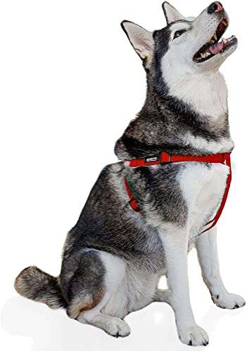 Pawsitive Hundegeschirr, Hanf, Step-in-Stil, weich und hypoallergen, ideal für kleine, mittelgroße und große Hunde, groß, Rot von Gracie To The Rescue