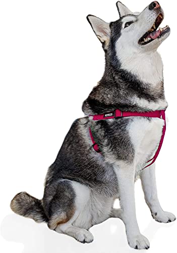 Pawsitive Hundegeschirr aus Hanf, weich, hypoallergen, ideal für kleine, mittelgroße und große Hunde, Rosa von Gracie To The Rescue