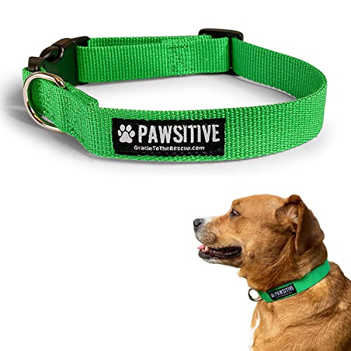 Pawsitive Hundehalsband aus Bambus. Weiches Hundehalsband für Hunde Hypoallergenes Halsband für kleine, mittelgroße und große Hunde Hundehalsbänder für kleine Hunde Nachhaltig, umweltfreundlich, von Gracie To The Rescue