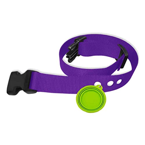Grain Valley Dog Supply Ersatzband – passend für die meisten PetSafe-Halsbänder – 3 vorgestanzte Löcher – 2,5 cm Nylon inklusive eOutletDeals Haustier-Reiseschüssel (lila) von Grain Valley Dog Supply