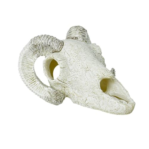 Gralara Aquariumdekoration, Reptilien -Versteck, Skelettheim, Figuren Reptilienbehörde Dekor Fischschildkröte Versteck für Höhlenlandschaft, Weißes Schafhorn Gralara Aquariumdekoration, Reptilien -Versteck, Skelettheim, Figuren Reptilienbehörde Dekor Fischschildkröte Versteck für Höhlenlandschaft, Weißes Schafhorn von Gralara