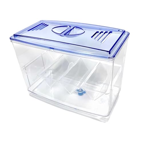 Gralara Breeder Box Isolation Box Sturdy Schlupfbox für Guppy Betta von Gralara