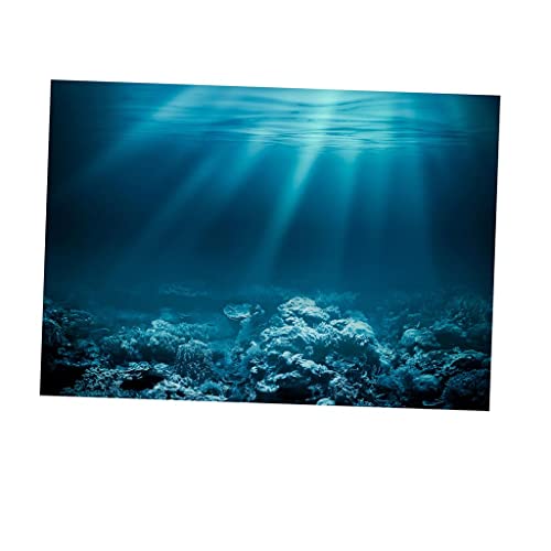 Gralara Einseitiger PVC Aquarium Hintergrund, Poster, Dekoration, Aquarienhintergrund, Statisch Haftender Aufkleber, Unterwasser, XS von Gralara