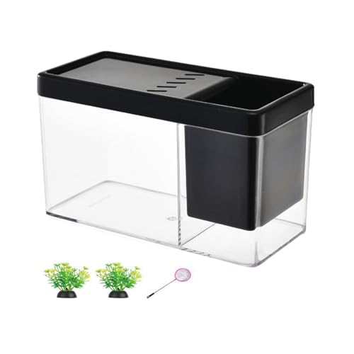 Gralara Fisch Schüssel Kits Fisch Tank Terrarium Tank Aquarium für Wohnzimmer Regal Werkzeuge Hause, Schwarz von Gralara