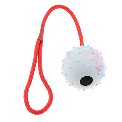 Gralara Geschenk für Ihre Hündchen mit Seilgriffhunden, Weiß Gralara Geschenk für Ihre Hündchen mit Seilgriffhunden, Weiß von Gralara