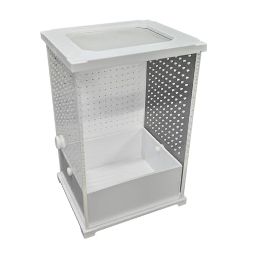 Gralara Reptilienzuchtkoffer, Brutbehälter, Zuchtbox, Eidechsen-Lebensraumkäfig für Frösche, 12cmx10cmx20cm Gralara Reptilienzuchtkoffer, Brutbehälter, Zuchtbox, Eidechsen-Lebensraumkäfig für Frösche, 12cmx10cmx20cm von Gralara