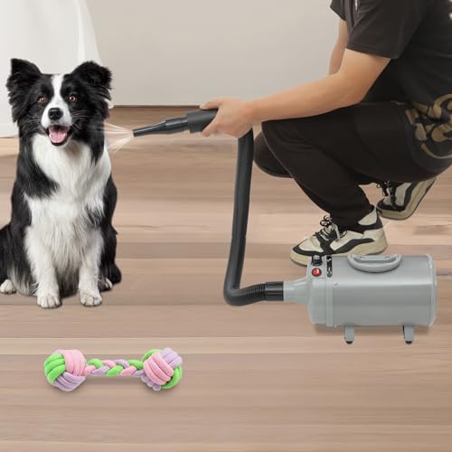 GramStudio Hundepflege Trockner Gebläse Hundefön Hundetrockner mit 4 Verschiedenen Düsen und 75-220cm Schlauch, Haartrockner Hunde Blower mit Einstellbare Geschwindigkeit und Wärme von GramStudio