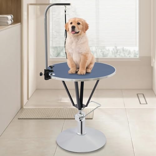 Trimmtisch Hundepflegetisch Fellwechselpflege für Hunde und Katze, Hydraulisch Anhebbarer Tierpflegetisch 360° Geschwenkt Tischplatte,Groomer Tisch Pflegetisch Mit Sicherheit Leine (Blau, Silber) von GramStudio