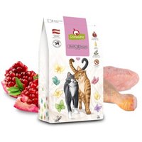 GranataPet Trockenfutter Katze, Kitten, Junior, DeliCATessen 2x9 kg GranataPet Trockenfutter Katze, Kitten, Junior, DeliCATessen 2x9 kg von Granatapet