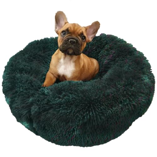 Grand Filippo Fluffy Hundebett Donut 50 cm - Handgefertigt Hundebett Flauschig - Hundekissen Flauschig Katzenbett Waschbar - Hundebett Rund Katzenbett Grün von Grand Filippo