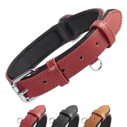 Grand Line Leder Hundehalsband, Lederhalsband Hund mit Weichem Gepolstertes, Breiter und Dicker Hundehalsband, Verstellbares Halsband Hunde für Kleine, Mittlere, Große Hunde (Rot, M) von Grand Line