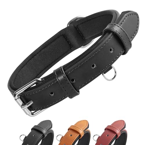 Grand Line Leder Hundehalsband, Lederhalsband Hund mit Weichem Gepolstertes, Breiter und Dicker Hundehalsband, Verstellbares Halsband Hunde für Kleine, Mittlere, Große Hunde (Schwarz, L) von Grand Line