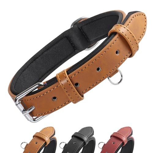 Grand Line Leder Hundehalsband, Lederhalsband Hund mit Weichem Gepolstertes, Breiter und Dicker Hundehalsband, Verstellbares Halsband Hunde für Kleine, Mittlere, Große Hunde (Braun, XS) von Grand Line