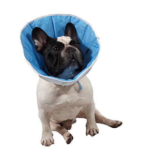 Collerette/Collar/Cone postoperativ, postoperative Operationen für Hunde, Katzen oder Kaninchenn 3(L) Kopfumfang:30-36cm; Höhe:20cm von Grande Finale
