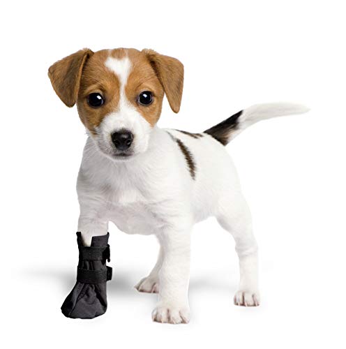 Grande Finale postoperativer Schutz, Schutz- und Wiederherstellungs-Socken, atmungsaktiv, für Hunde, Katzen, 100% Softshell – (2(S)–5cm (2,0 Zoll) H–9 cm, schwarz) von Grande Finale