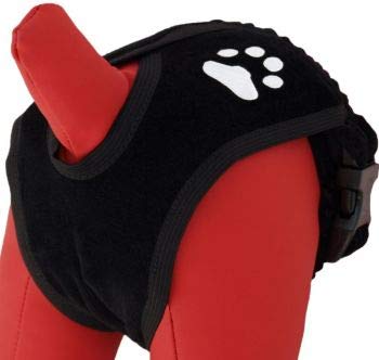 cat-or-dog.boutique Hygienische Schutzhose für Hunde und Katzen (1 XS – 30 – 38 cm) von cat-or-dog.boutique