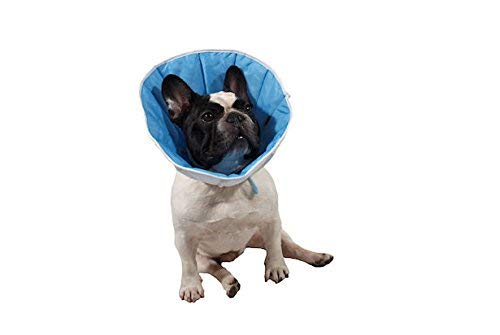 Kragen/Kegel Post-operativen für Hunde, Katzen oder Kaninchenn 4(XL) Kopfumfang:36-44cm; Höhe: 23cm von Grande Finale