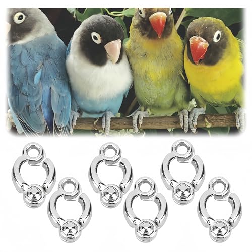 6 Stück Ring für Papageienfüße, Papageienring, Ringe für Papageien, offener Fußring für Papageien, Ringe für Vögel, zum Öffnen von Vögeln, Trainingsaktivitäten von Granmagazz