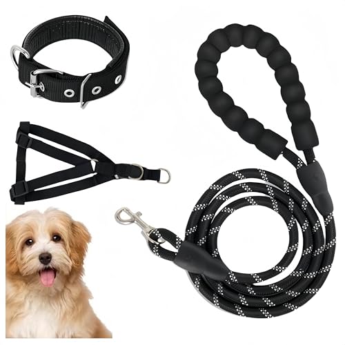 Granmagazz 3 Stück Trainingsleine für Hunde, Hundeleine für große Hunde, lange Hundeleine, leicht reflektierend, für kleine und mittelgroße Hunde (schwarz) von Granmagazz