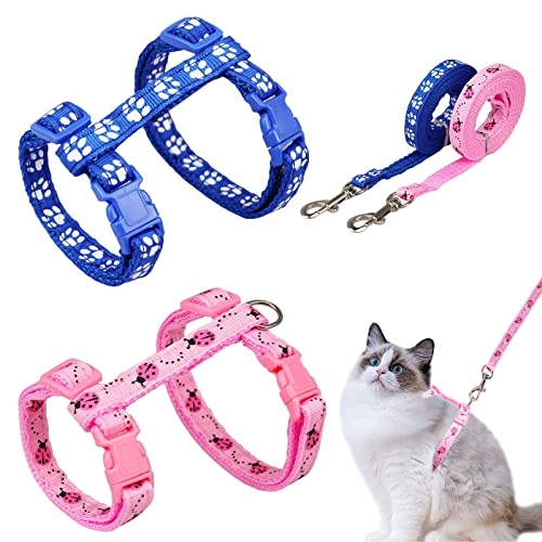 2 Stück Verstellbare Nylon Geschirre Katzenleine,Cat's Claw Marienkäfer-Print Geschirre Katzenleine Kätzchenhalsband， Weiche Katzengeschirr mit Leine für Kätzchen Welpe Kaninchen Hase von Grantop