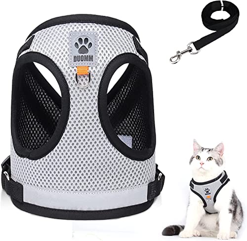 Katzenleine Set für Katzen,Polyester Verstellbares Katzen Geschirr mit Leine,Katzen Weste mit Reflektierenden Streifen für Kitten Hunde (Grau, XS) von Grantop